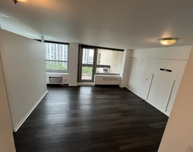 1255 N Sandburg Terrace - Photo Thumbnail 14