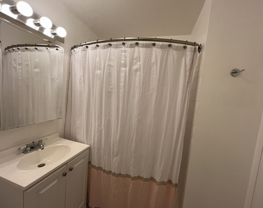 1255 N Sandburg Terrace - Photo Thumbnail 16