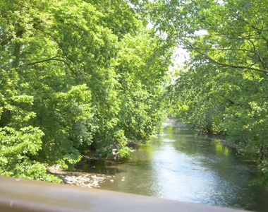 311 North Avenue - Photo Thumbnail 26