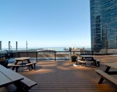 540 N Lake Shore Drive - Photo Thumbnail 13