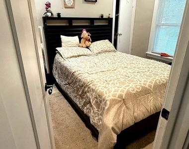 181 Rose Street - Photo Thumbnail 5