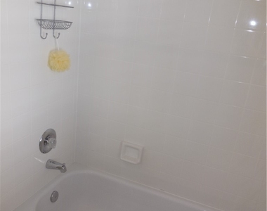 3914 Upolo Lane - Photo Thumbnail 18