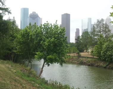 218 Stratford Street - Photo Thumbnail 40