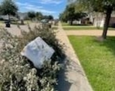 929 Crystal Dove Avenue - Photo Thumbnail 11