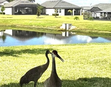10583 Tupper Cay Drive - Photo Thumbnail 26