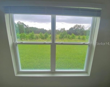 3992 Fescue Street - Photo Thumbnail 9