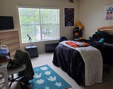 14733 Hartford Run Drive - Photo Thumbnail 6