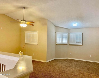 7334 Prickley Pear Drive - Photo Thumbnail 16