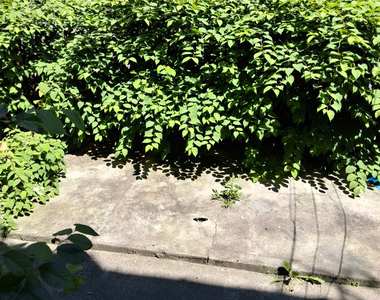 1565 Lincoln Place - Photo Thumbnail 3