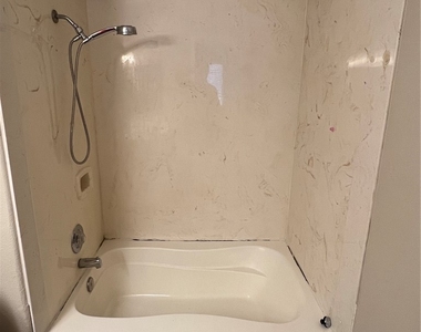 3450 Erva Street - Photo Thumbnail 21