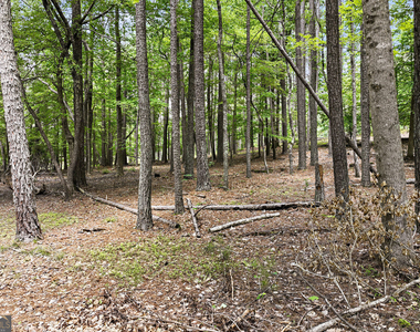3735 Smithtown Road - Photo Thumbnail 17