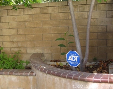 19 Coriander - Photo Thumbnail 5
