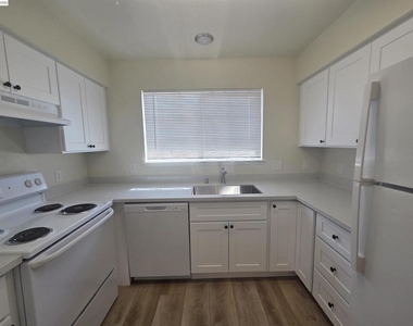 2255 Chestnut St - Photo Thumbnail 28