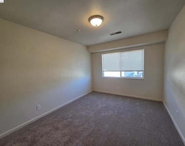 2255 Chestnut St - Photo Thumbnail 15