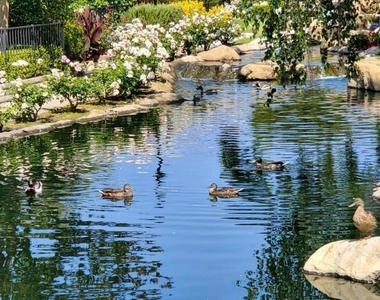 3046 Winding Lane - Photo Thumbnail 30