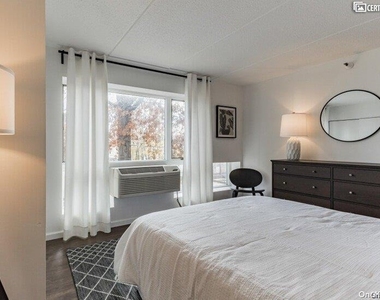 205 Mineola Boulevard - Photo Thumbnail 21