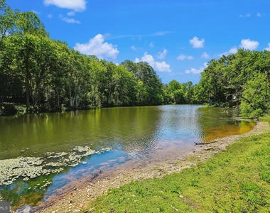 11106 Huntington Woods Circle - Photo Thumbnail 16