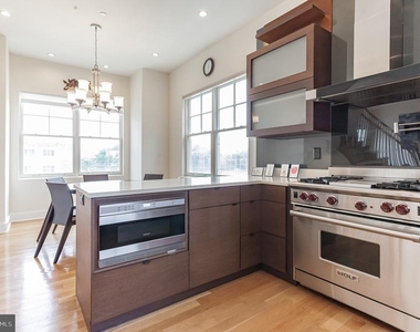 133 Salter Street - Photo Thumbnail 11