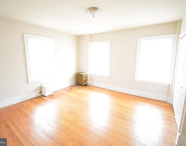 247 W Hansberry Street - Photo Thumbnail 16
