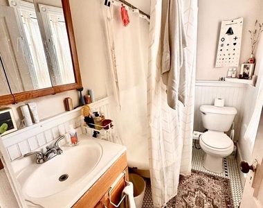 247 W Hansberry Street - Photo Thumbnail 11