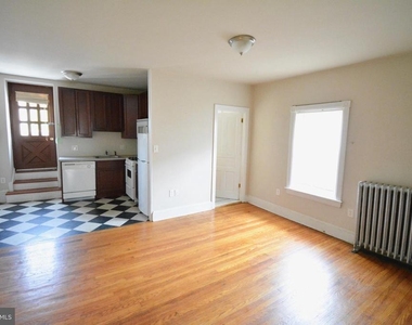 247 W Hansberry Street - Photo Thumbnail 1