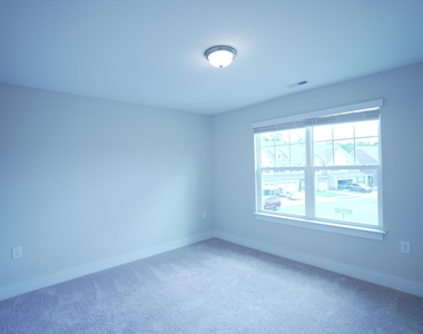 919 Hillman Lane - Photo Thumbnail 43