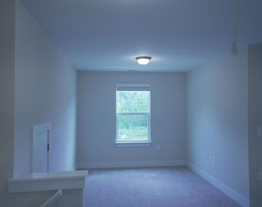 919 Hillman Lane - Photo Thumbnail 44