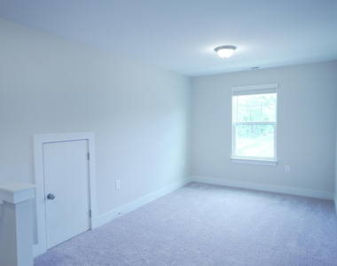 919 Hillman Lane - Photo Thumbnail 41