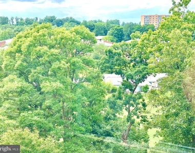 15101 Interlachen Drive Drive - Photo Thumbnail 7