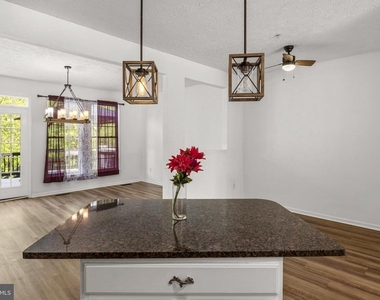 9805 Redwing Drive - Photo Thumbnail 24