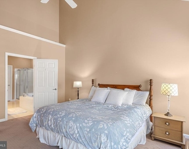 301 Adelaide Drive - Photo Thumbnail 25