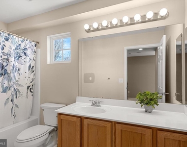 301 Adelaide Drive - Photo Thumbnail 31
