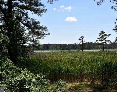 34798 W Mint Place - Photo Thumbnail 14