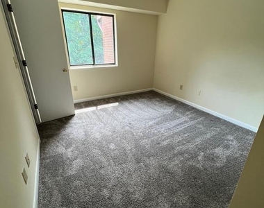 125 Turtle Creek Rd - Photo Thumbnail 9