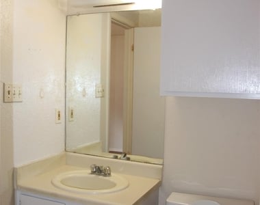 9603 Nightjar Dr - Photo Thumbnail 13