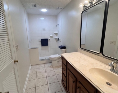 4112 Hanging Moss Court - Photo Thumbnail 15