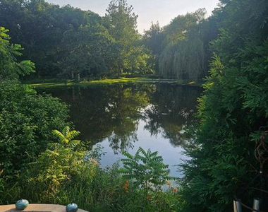 992 White Pine Drive - Photo Thumbnail 24