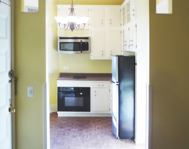 2800 N Pine Grove Avenue - Photo Thumbnail 8