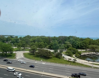 3550 N Lake Shore Drive - Photo Thumbnail 20