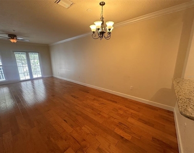 709 Bloom Street - Photo Thumbnail 10