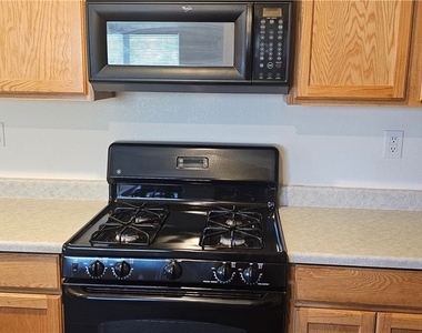 7356 Umberto Street - Photo Thumbnail 4