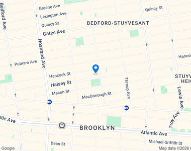 223 Halsey Street - Photo Thumbnail 10