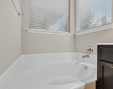 419 Red Sage Lane - Photo Thumbnail 14
