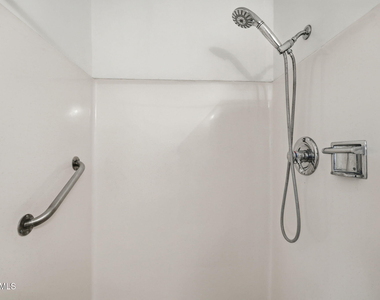 3937 S Mill Avenue - Photo Thumbnail 28