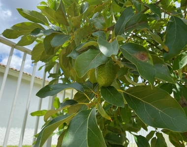 4080 Sea Grape Circle - Photo Thumbnail 8