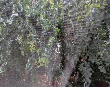 10600 Holman Avenue - Photo Thumbnail 19