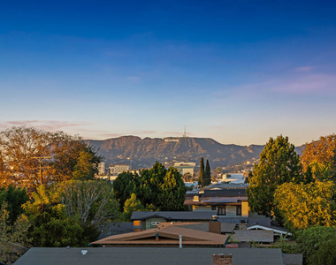307 N Wilton Place - Photo Thumbnail 15