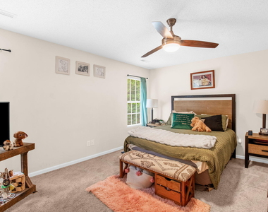 704 Peach Orchard Drive - Photo Thumbnail 9