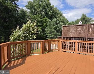 4613 Ripley Manor Terrace - Photo Thumbnail 13