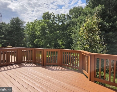 4613 Ripley Manor Terrace - Photo Thumbnail 14